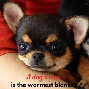 Shipping Label For @cstaplekamp